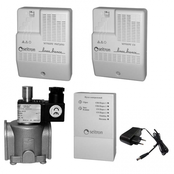 Комплект на метан и угарный газ RGD-CH4+CO-R-DN25